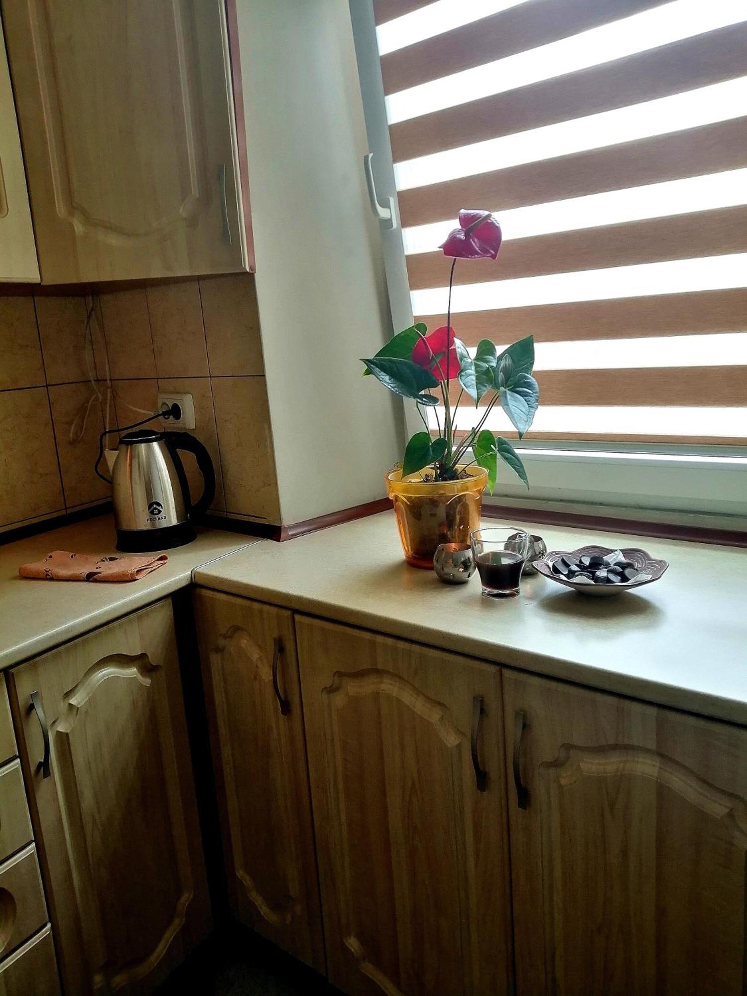 Flat On Sheptytskykh Διαμέρισμα Λβιβ Εξωτερικό φωτογραφία